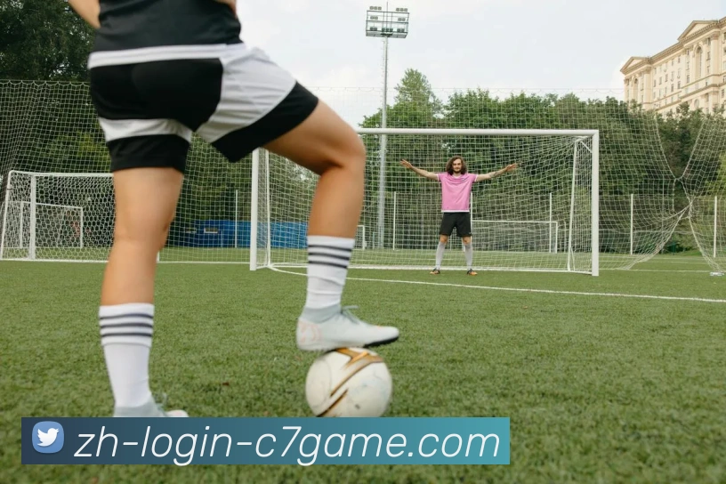 c7c7.app平台生态图